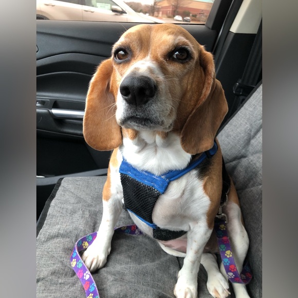 Meet your Posher, Brittney - Picture 8 of 15